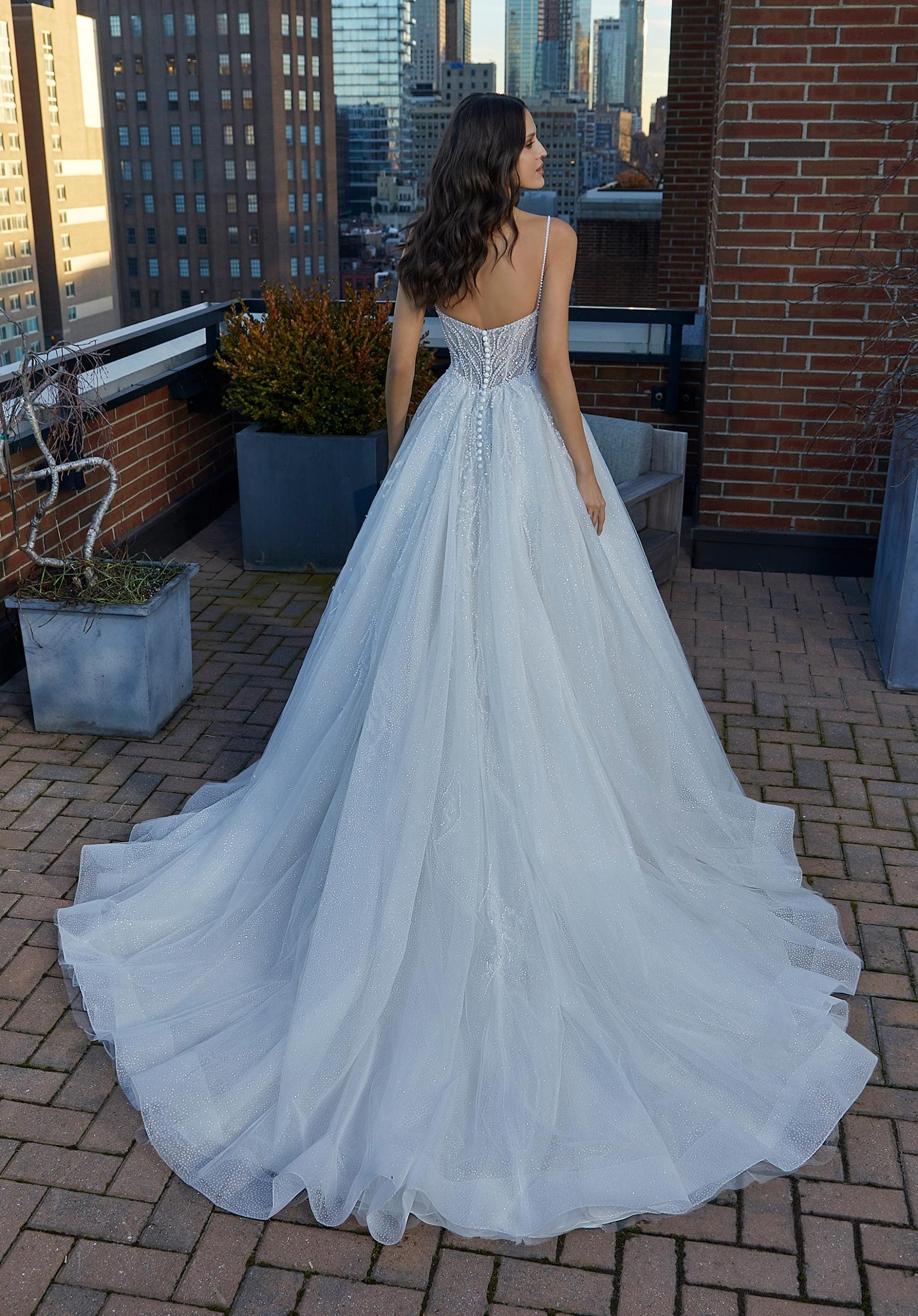 UNK-Serafina image 2