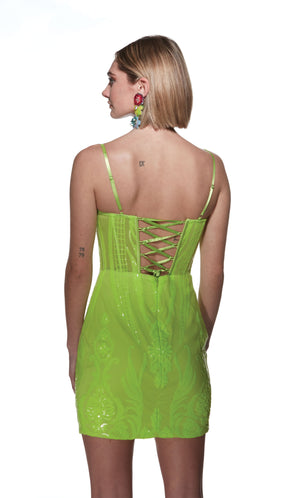 UNK-4901. Short, Plunging Neckline, Straight image 6