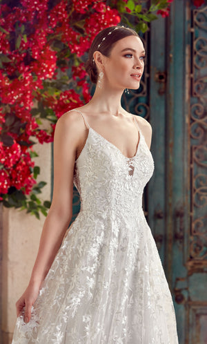 UNK-Wedding Dress: 7012. Long, V-Neck, Fit N Flare, V Shaped Back image 0