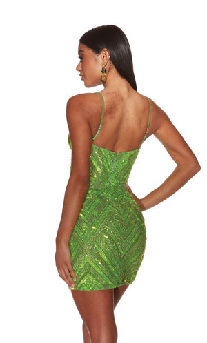 UNK-4840. Short, Plunging Neckline, Straight image 11