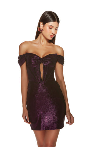 UNK-4844. Short, Off The Shoulder, Straight image 5