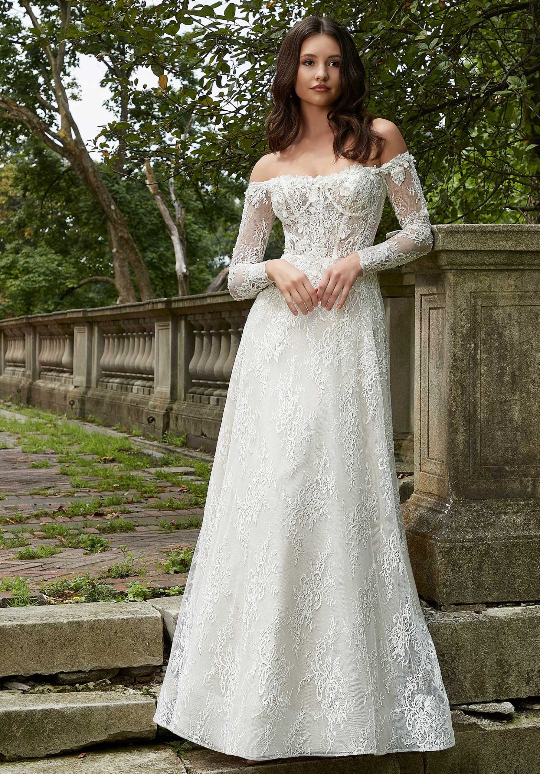 UNK-Paloma image 0
