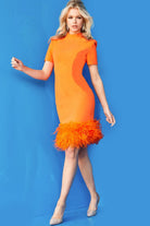 JVN-8253 image 4