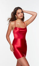 UNK-4528. Short, Cowl Neck, Straight, Strappy Back image 9
