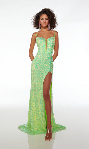 UNK-61556. Long, Plunging Neckline, Straight image 1