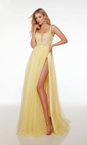 UNK-61513. Long, Plunging Neckline, A-line image 0