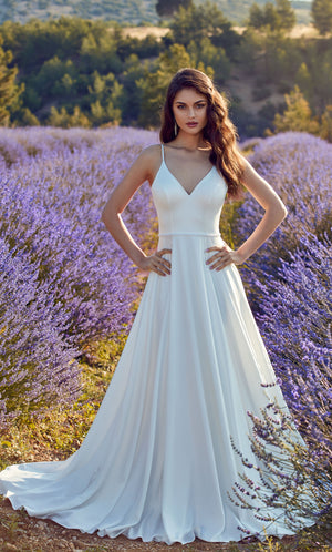 UNK-7089. Long, V-neck, A-line, V Shaped Back image 0