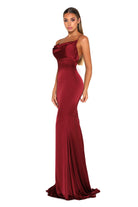 Dana image 0