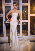 UNK-Tula image 0
