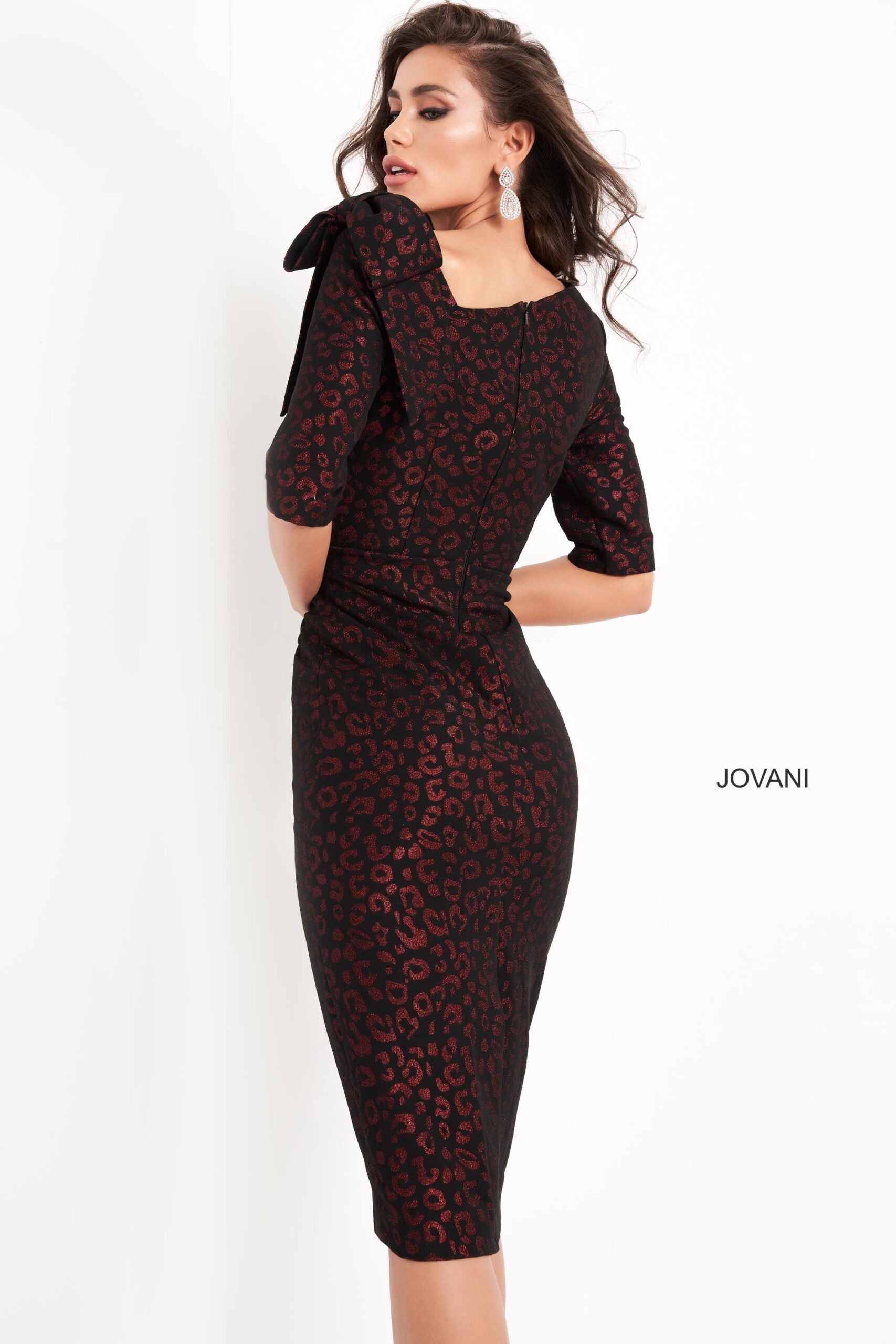 JVN-4425 image 2