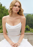 UNK-Delaney image 1