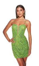 UNK-4840. Short, Plunging Neckline, Straight image 10