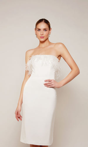 UNK-70028. Short, Strapless, Straight, Closed Back image 0